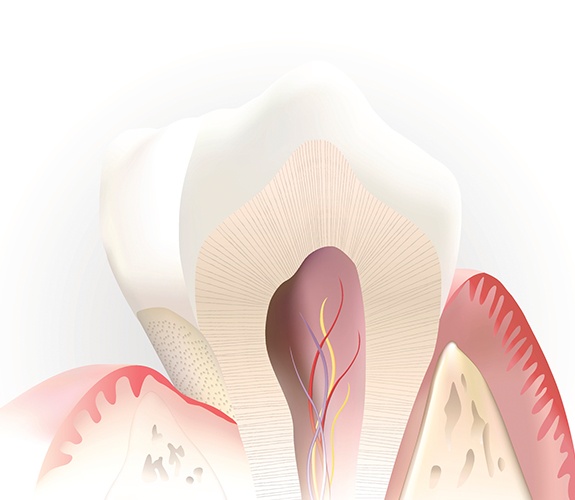 Animated inside of a healthy tooth that's not in need of pulp therapy